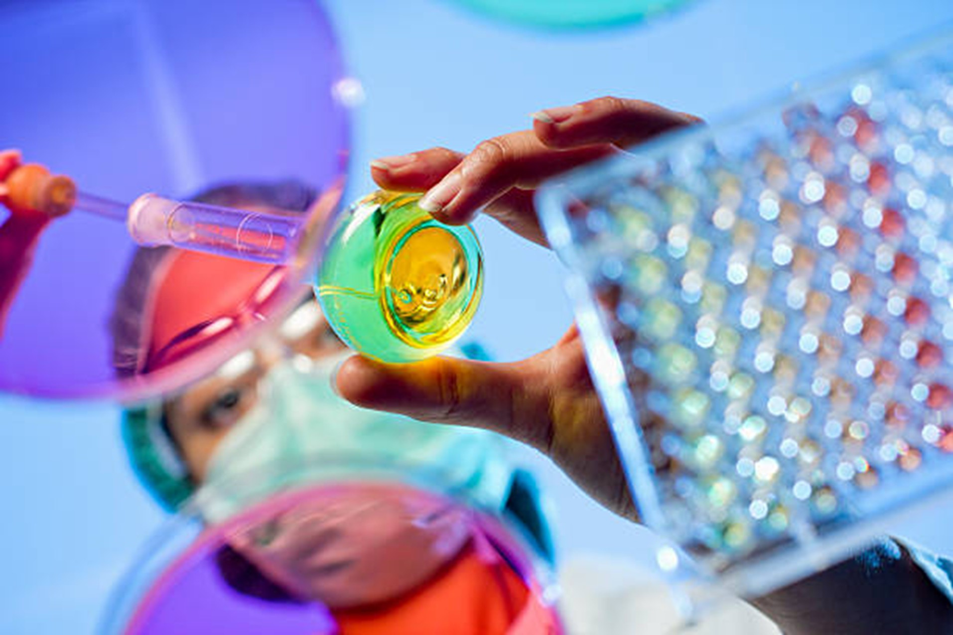 Bioquimica